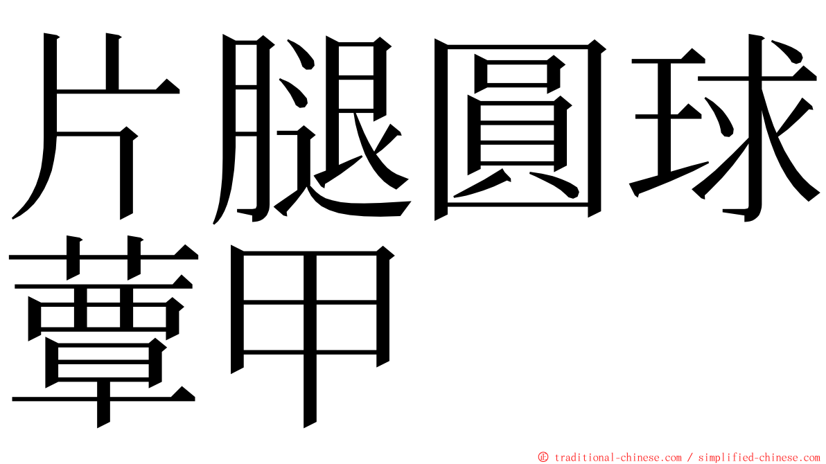 片腿圓球蕈甲 ming font