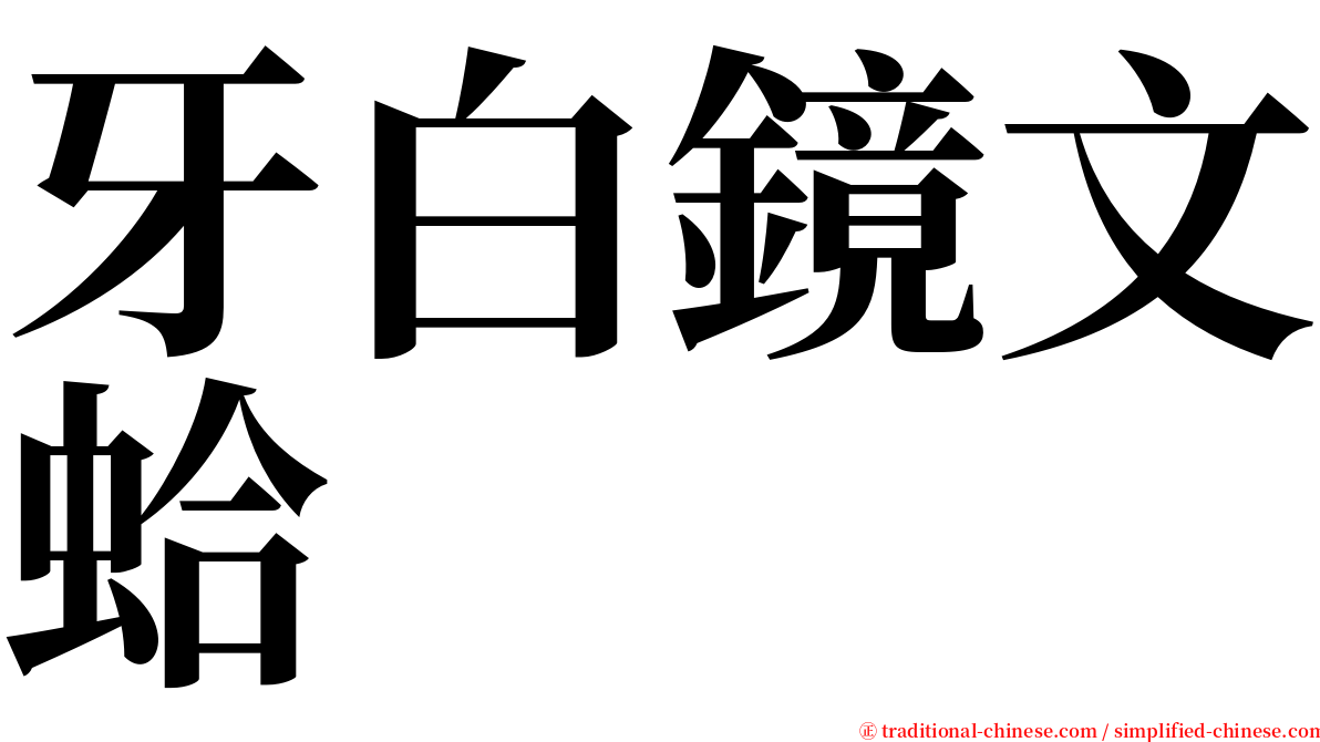 牙白鏡文蛤 serif font