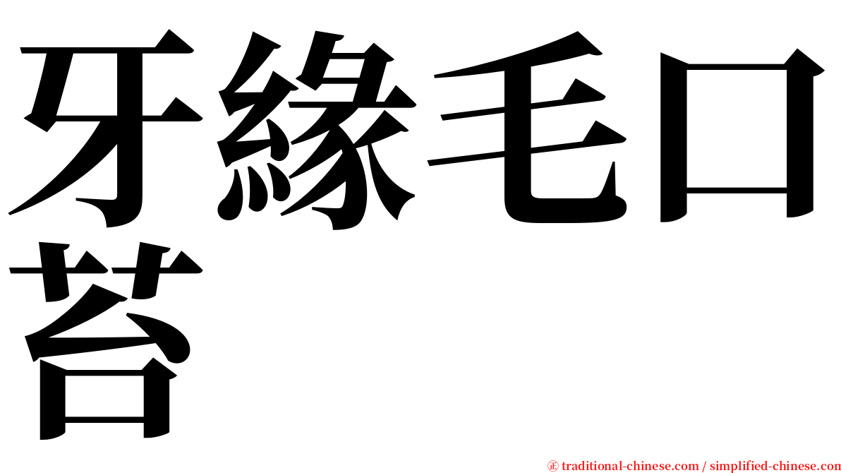 牙緣毛口苔 serif font