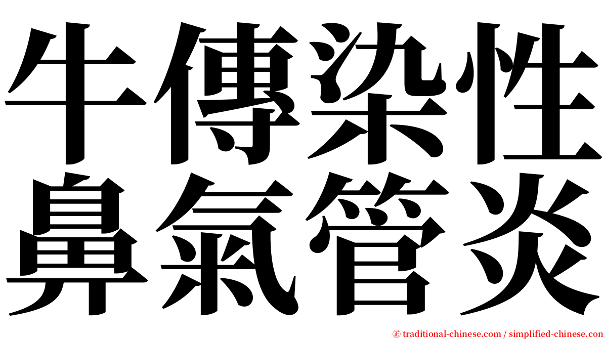 牛傳染性鼻氣管炎 serif font