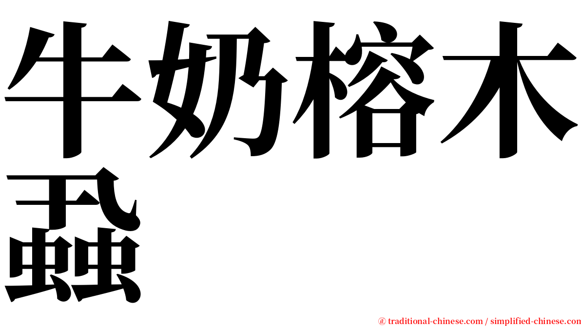 牛奶榕木蝨 serif font