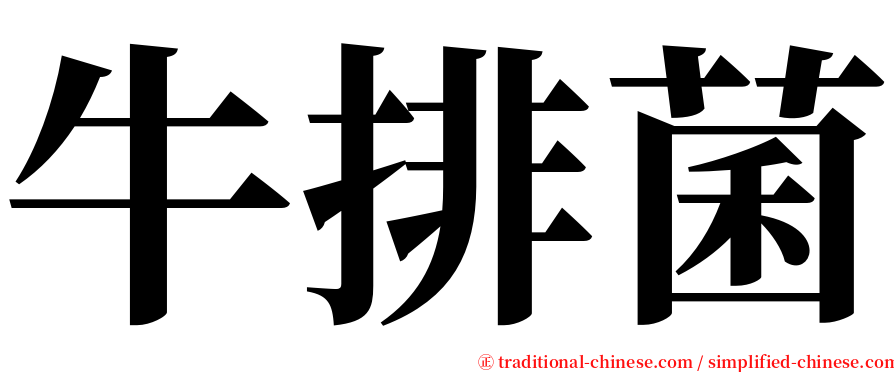 牛排菌 serif font