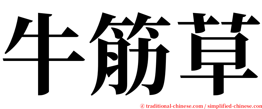 牛筋草 serif font