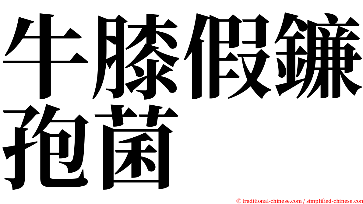 牛膝假鐮孢菌 serif font