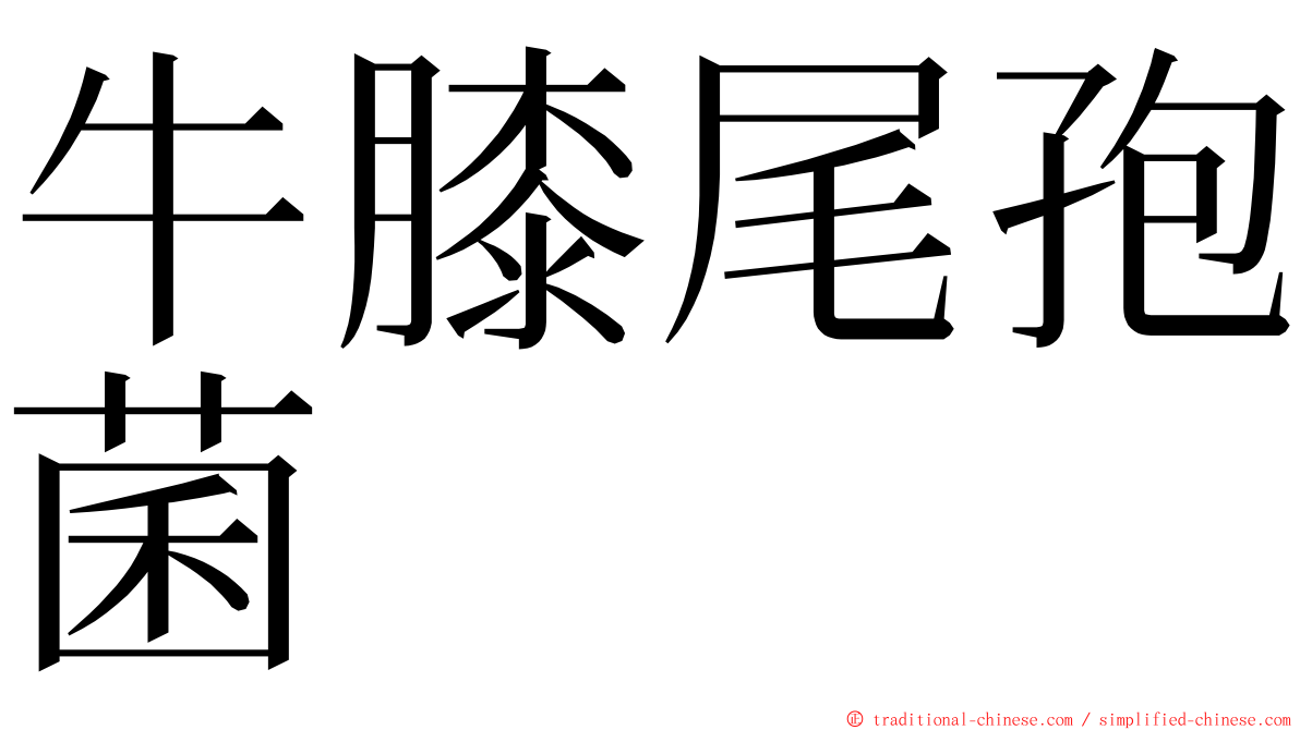 牛膝尾孢菌 ming font