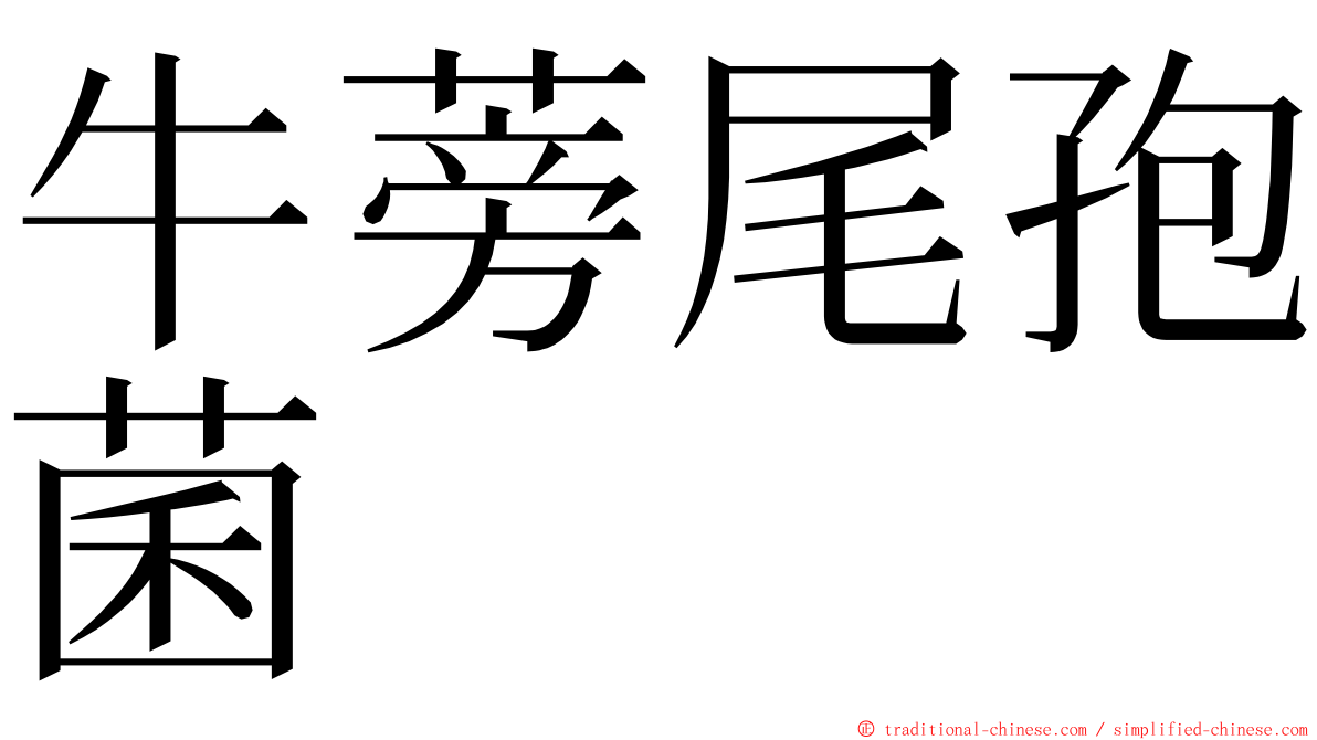 牛蒡尾孢菌 ming font