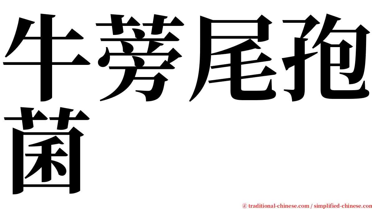 牛蒡尾孢菌 serif font