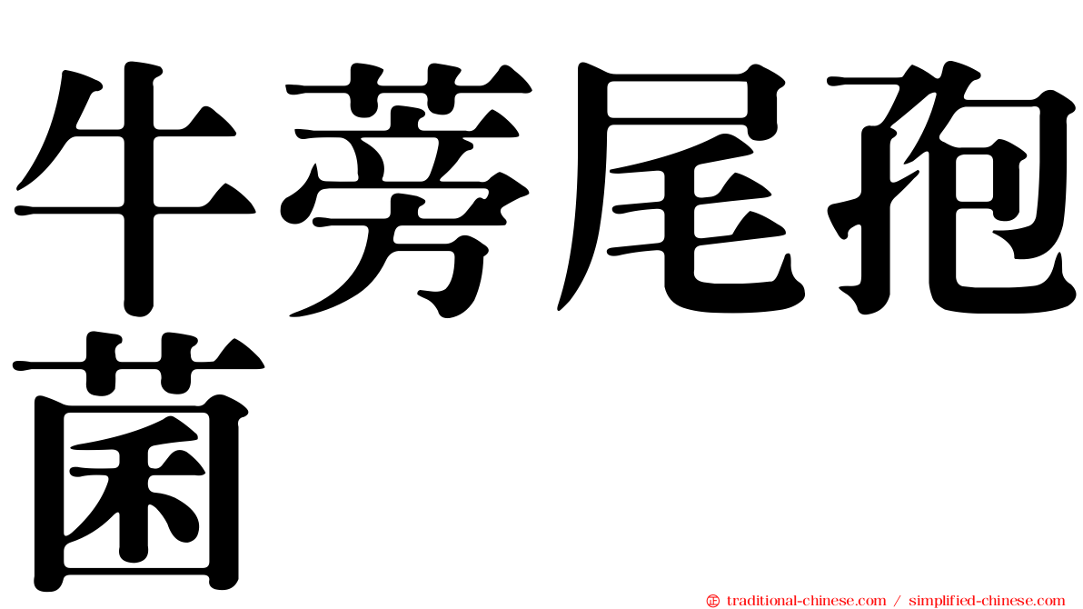 牛蒡尾孢菌