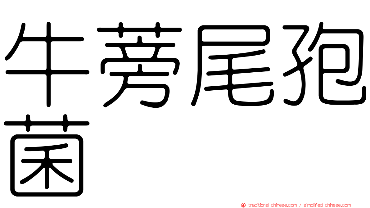 牛蒡尾孢菌