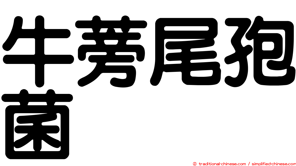 牛蒡尾孢菌