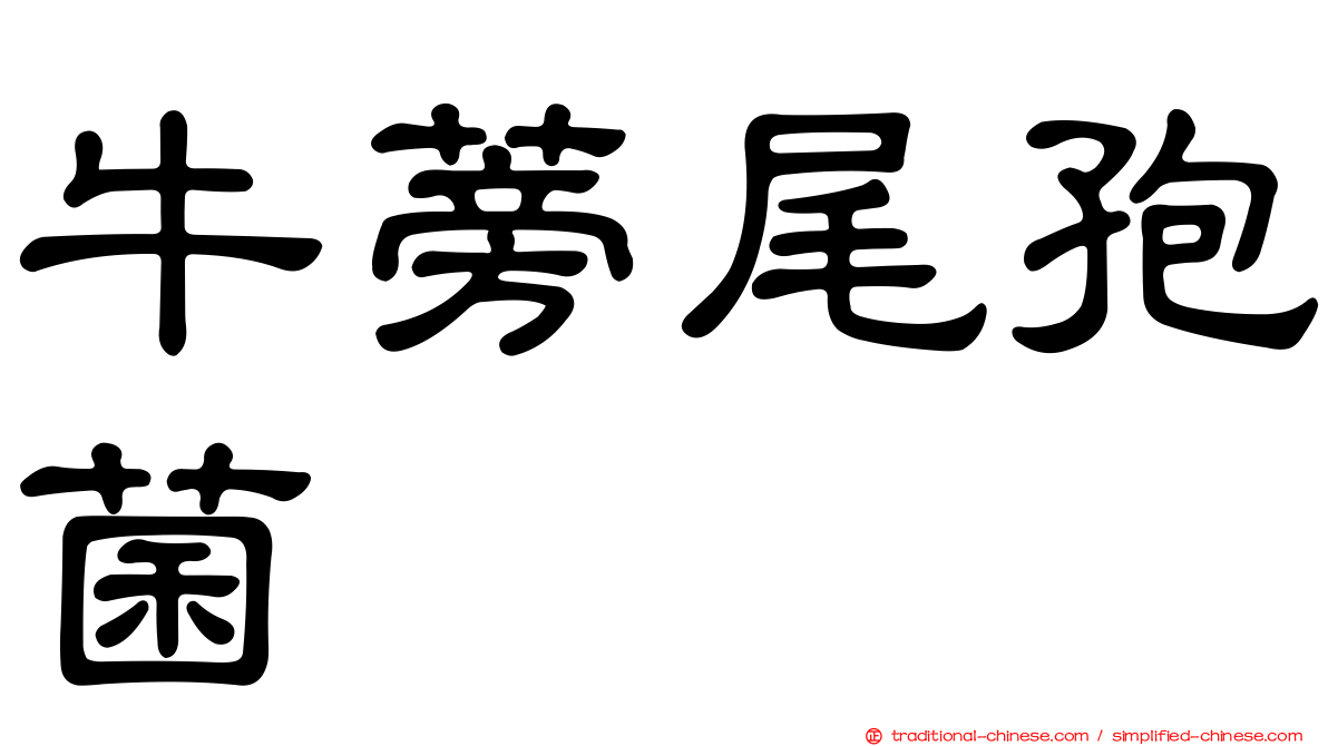 牛蒡尾孢菌