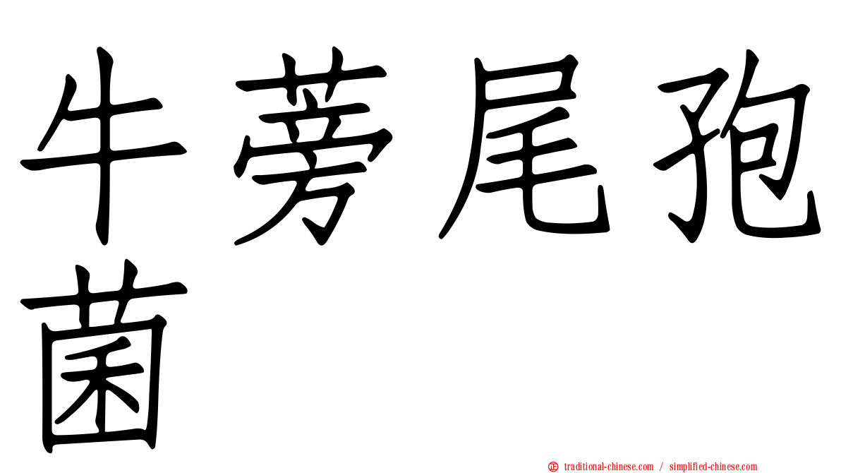 牛蒡尾孢菌