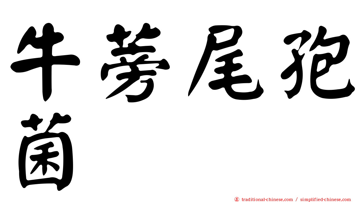 牛蒡尾孢菌
