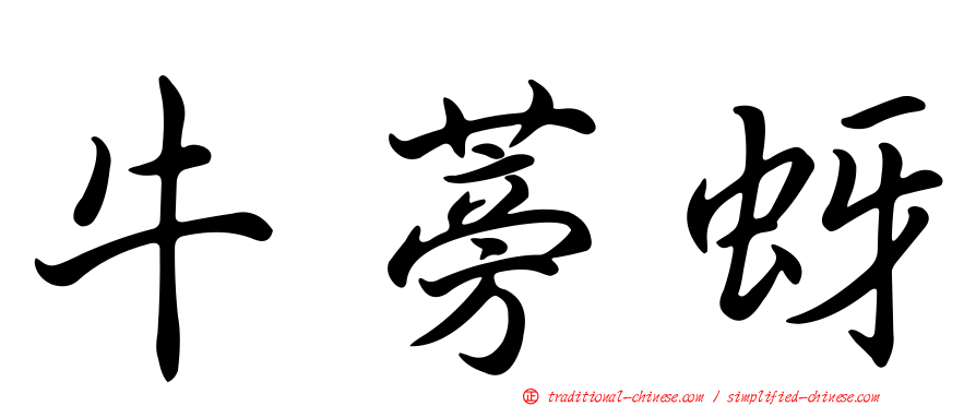 牛蒡蚜