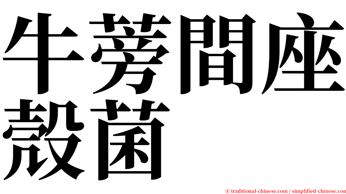 牛蒡間座殼菌 serif font