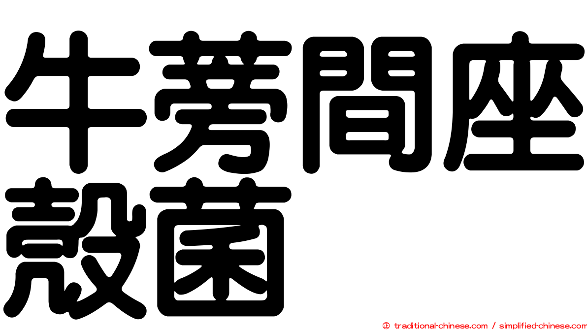 牛蒡間座殼菌