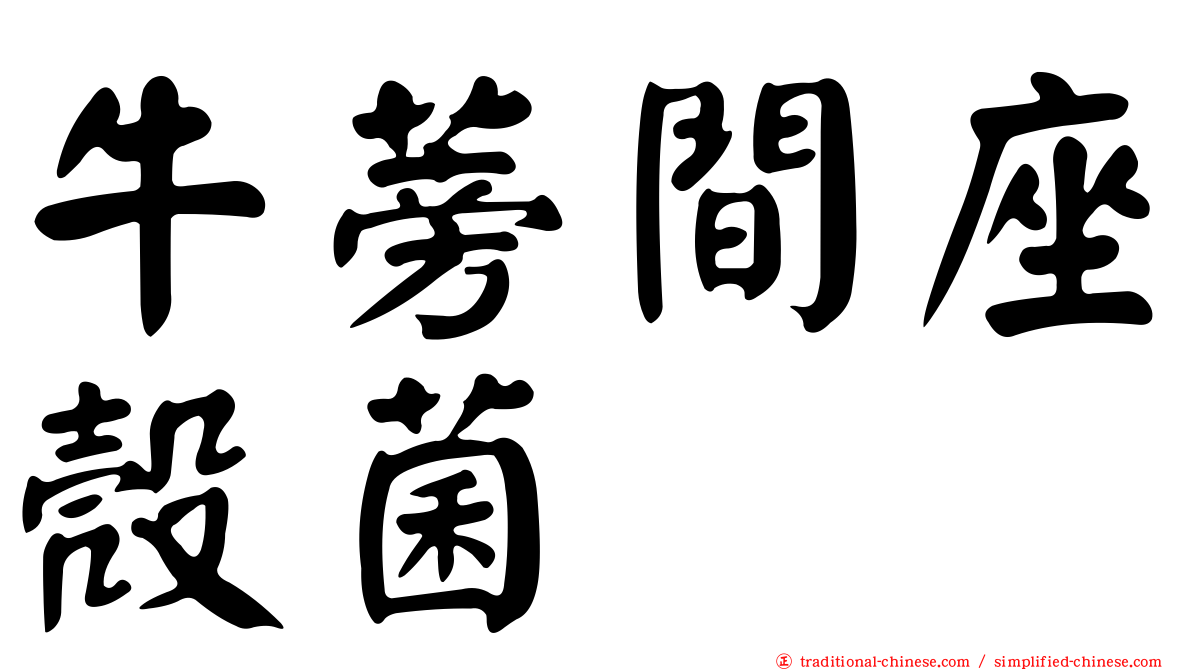 牛蒡間座殼菌