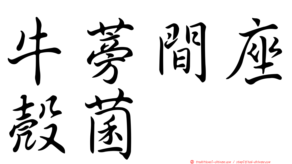 牛蒡間座殼菌