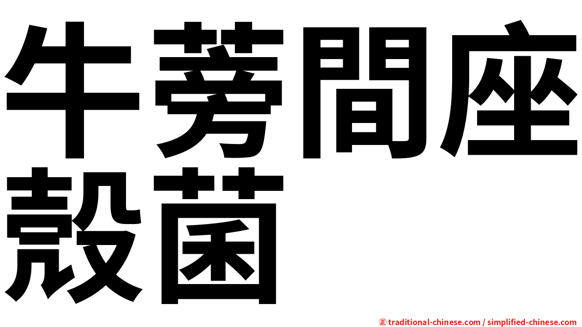 牛蒡間座殼菌