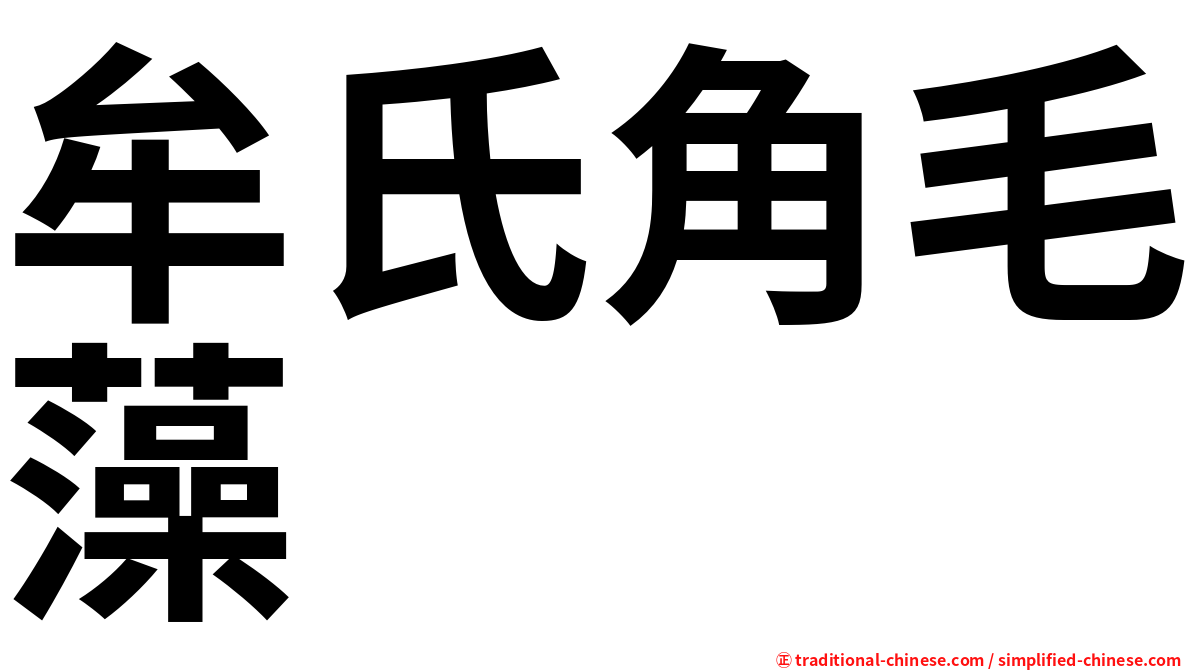 牟氏角毛藻