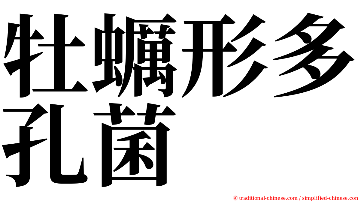 牡蠣形多孔菌 serif font