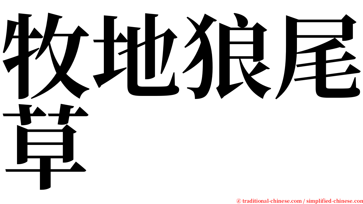 牧地狼尾草 serif font