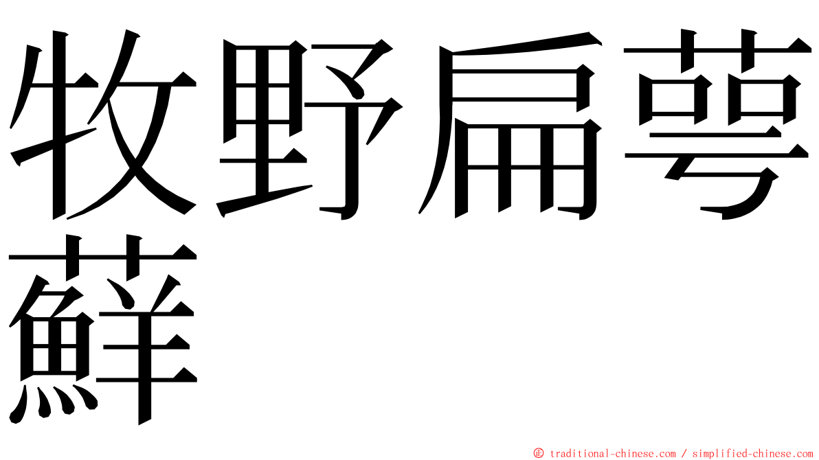 牧野扁萼蘚 ming font