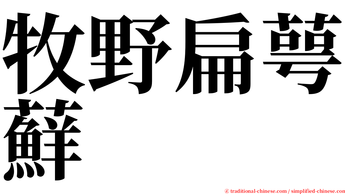 牧野扁萼蘚 serif font