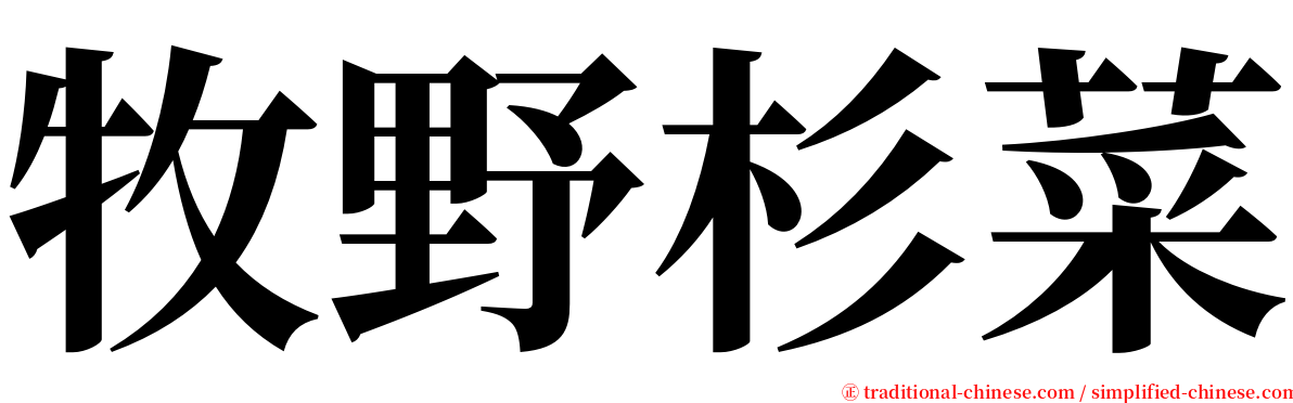 牧野杉菜 serif font