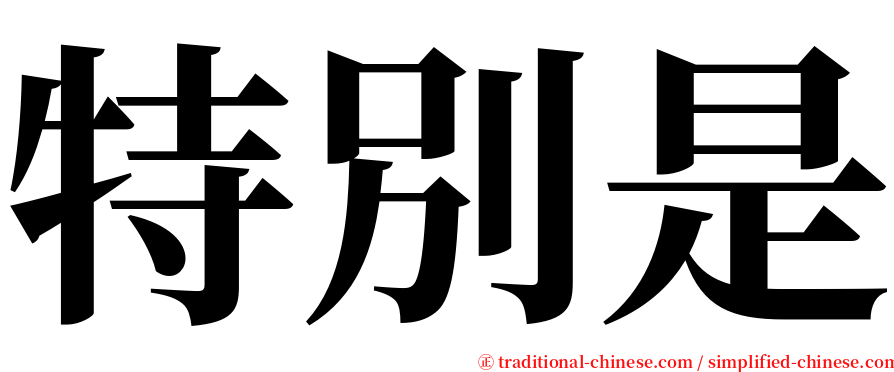 特別是 serif font