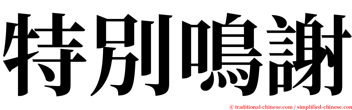 特別鳴謝 serif font