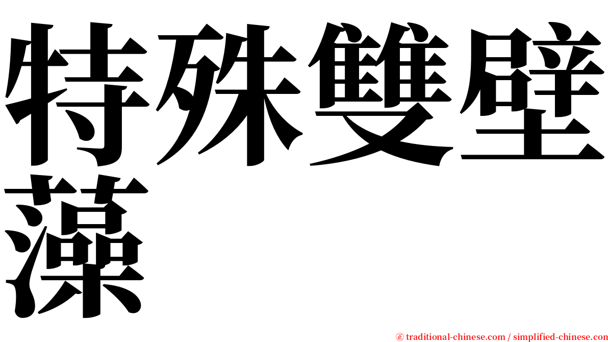 特殊雙壁藻 serif font