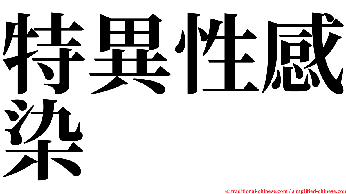 特異性感染 serif font