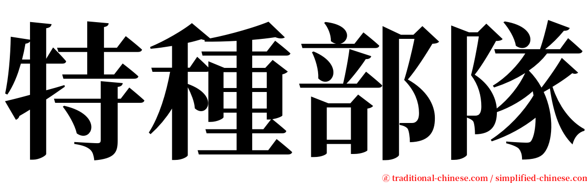 特種部隊 serif font