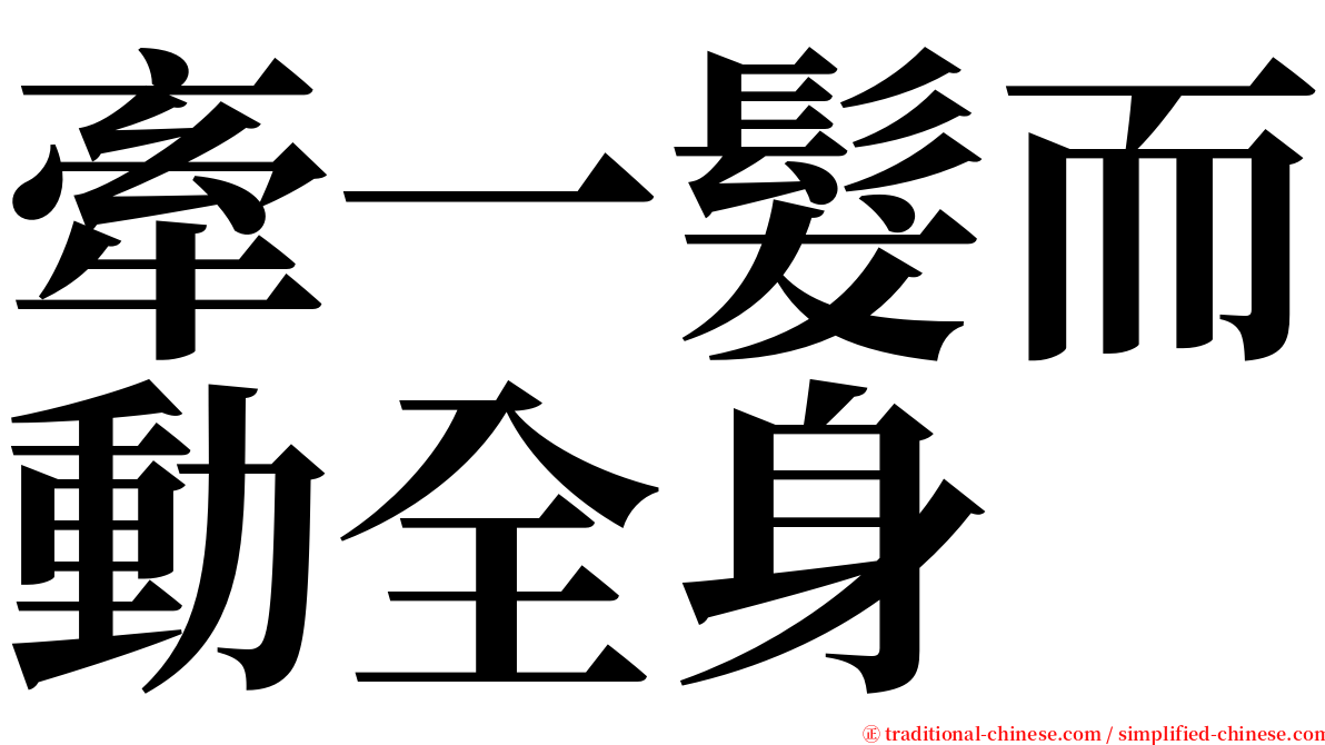 牽一髮而動全身 serif font