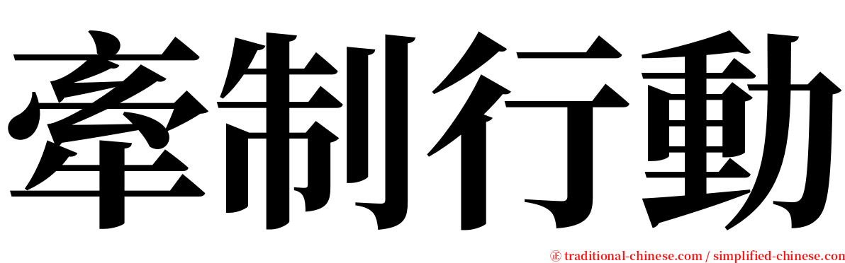 牽制行動 serif font