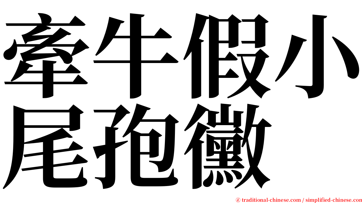 牽牛假小尾孢黴 serif font