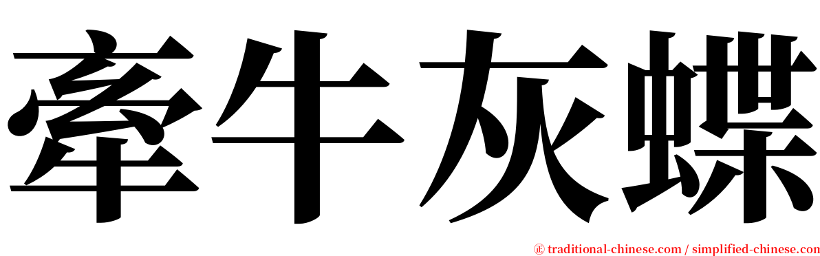 牽牛灰蝶 serif font