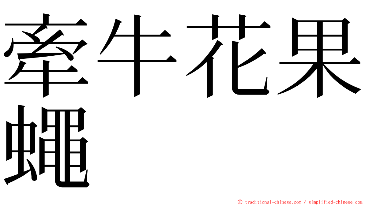 牽牛花果蠅 ming font