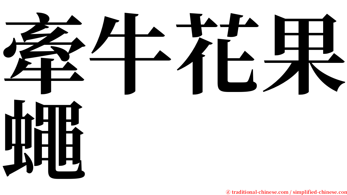 牽牛花果蠅 serif font