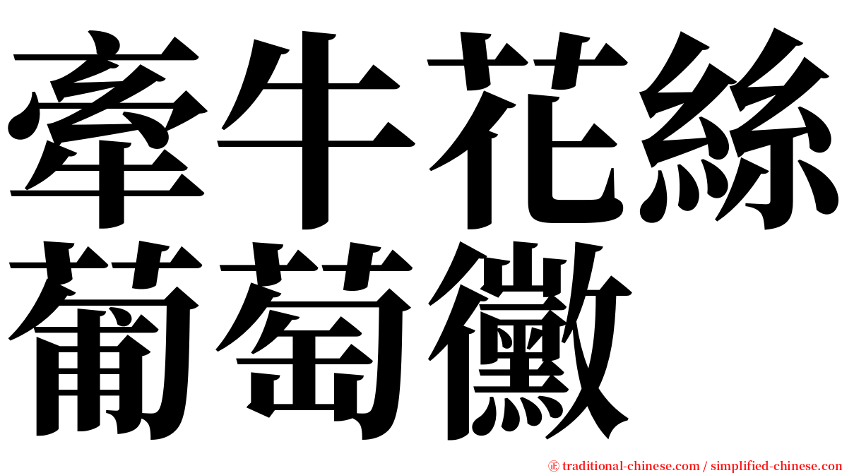 牽牛花絲葡萄黴 serif font