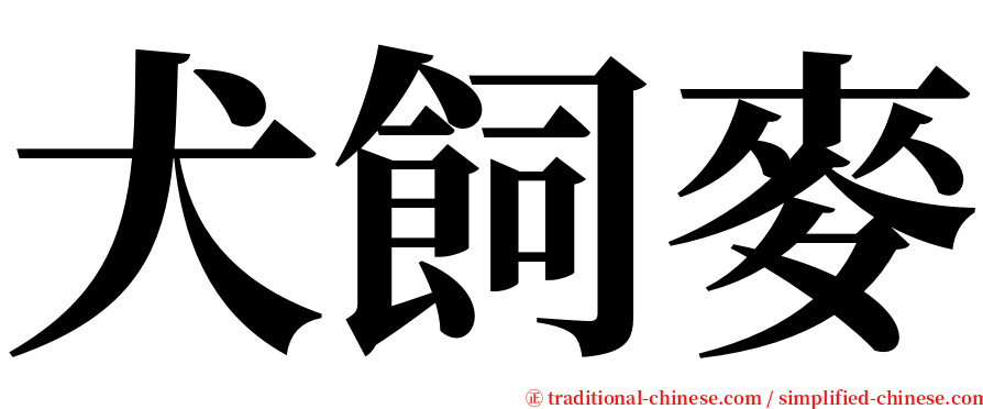 犬飼麥 serif font