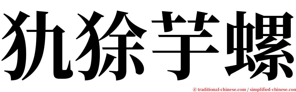 犰狳芋螺 serif font