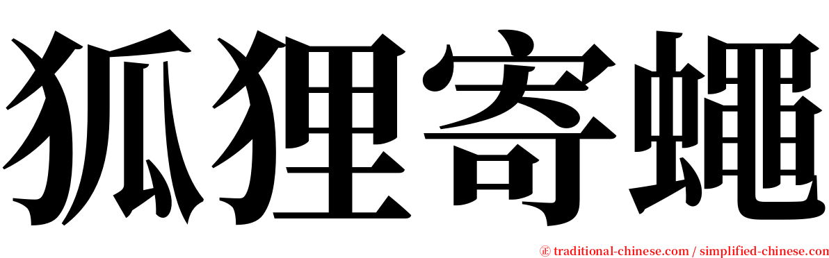 狐狸寄蠅 serif font