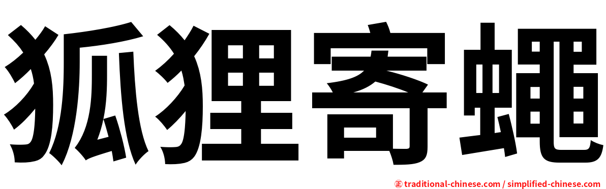 狐狸寄蠅