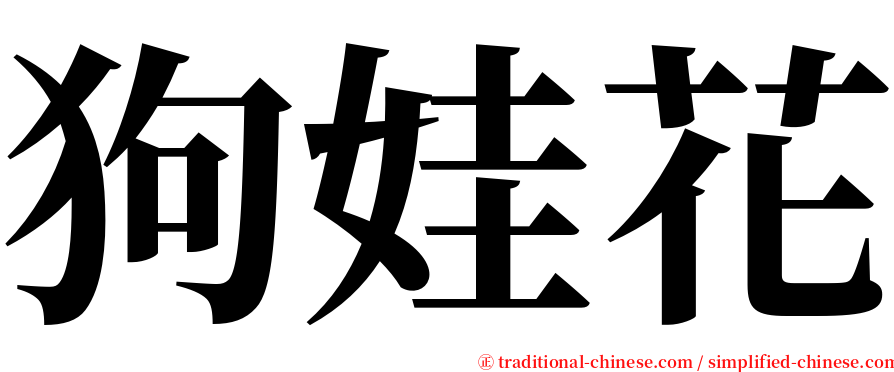 狗娃花 serif font