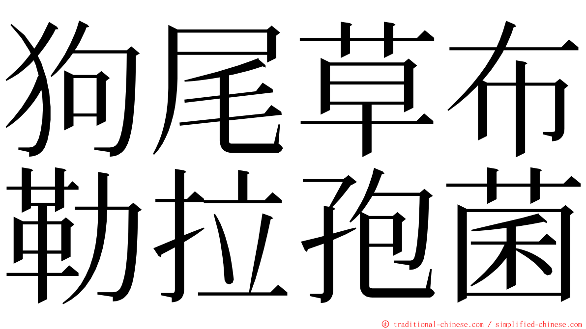 狗尾草布勒拉孢菌 ming font