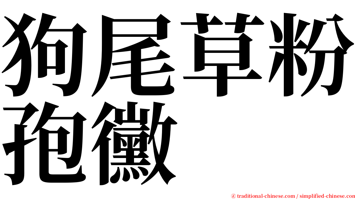 狗尾草粉孢黴 serif font