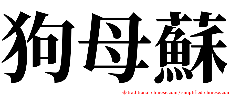 狗母蘇 serif font