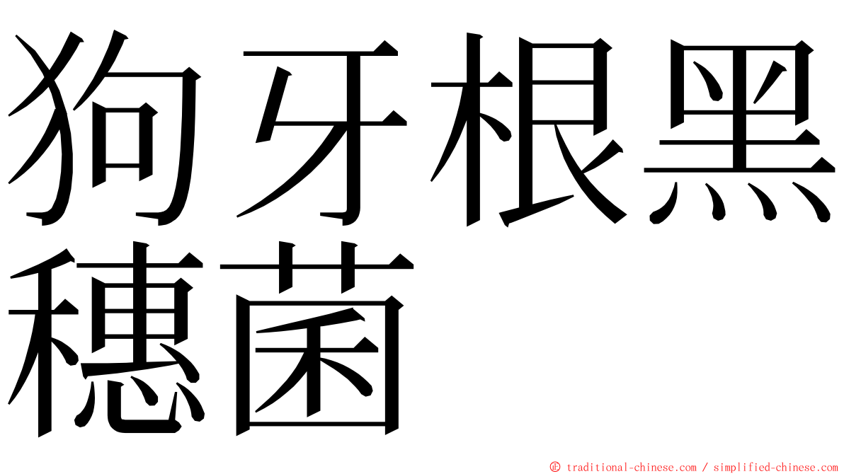 狗牙根黑穗菌 ming font